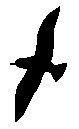 0114.gif