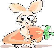 An2003.gif