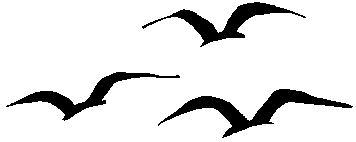 Bird034.gif