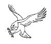 Bird073.gif