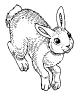 T027.gif