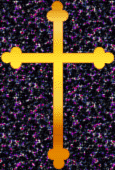 Bot2.gif